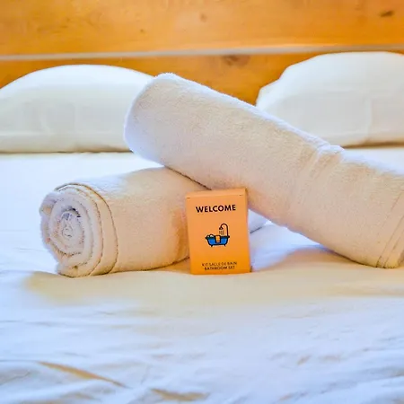 Nid D'hirondelle * Périgueux