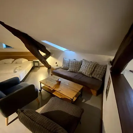 Nid D'hirondelle Périgueux