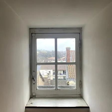 Nid D'hirondelle * Périgueux