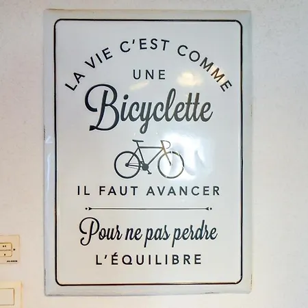 Nid D'hirondelle *