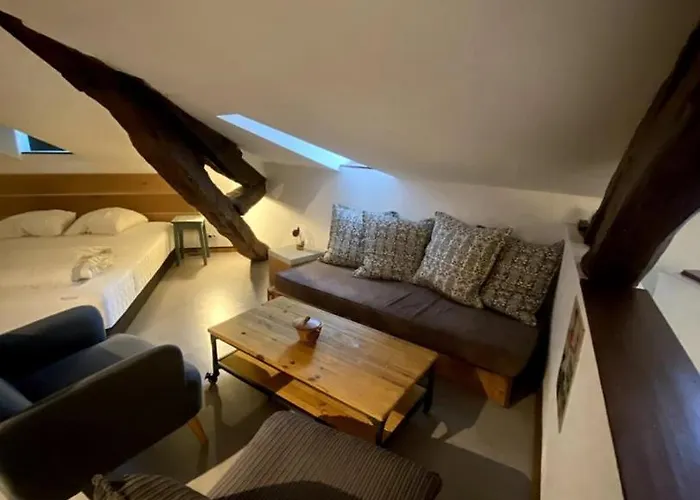 Nid D'hirondelle Périgueux