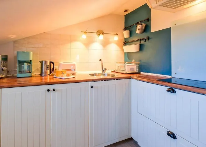 Nid D'hirondelle Périgueux