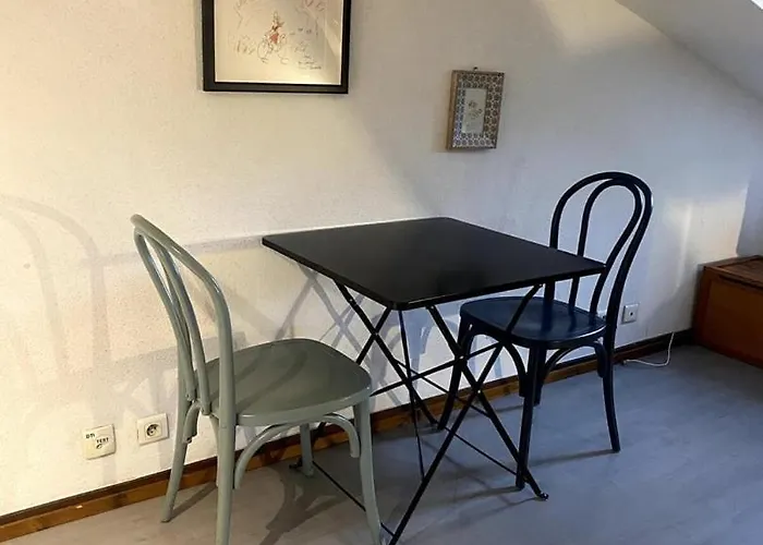 Nid D'hirondelle *
