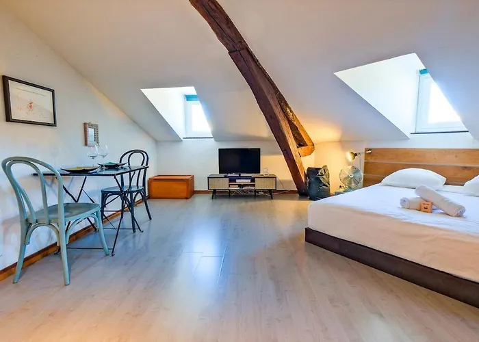 Nid D'hirondelle Périgueux