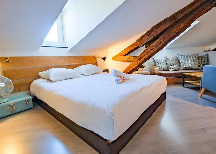 Nid D'hirondelle Appartement Périgueux