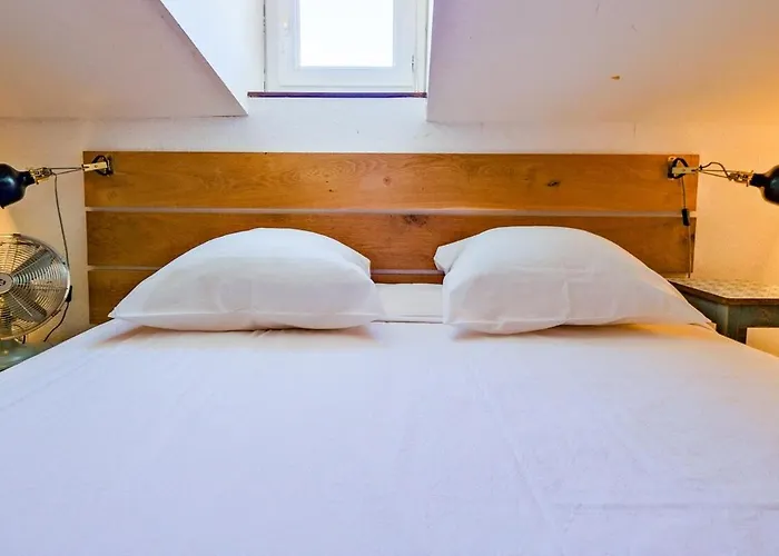 Nid D'hirondelle Périgueux