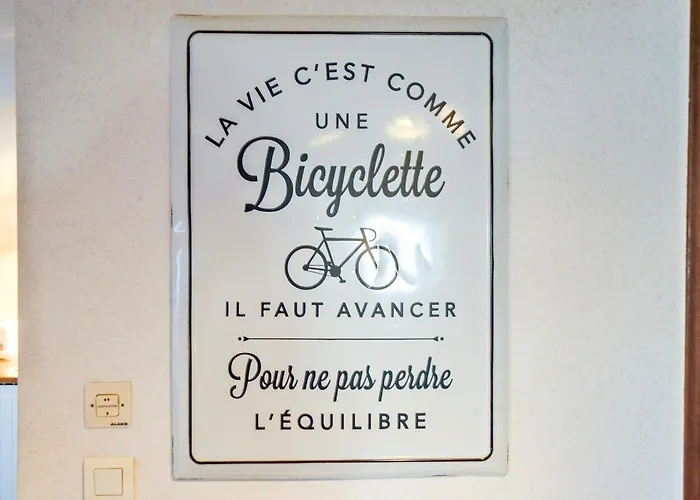 Nid D'hirondelle *