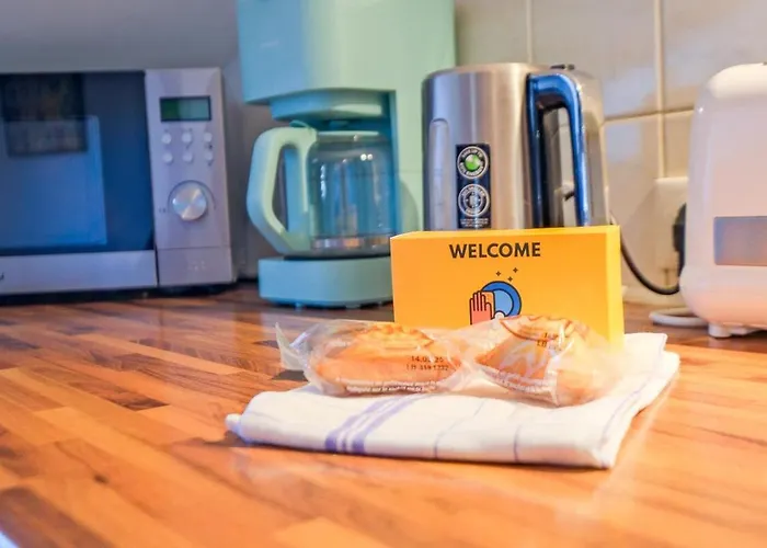 Nid D'hirondelle * Périgueux